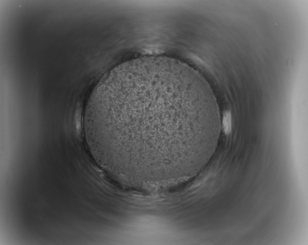 X0000088231444200705292124