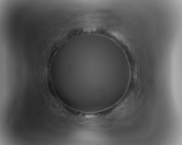 X0000088231445200705292124