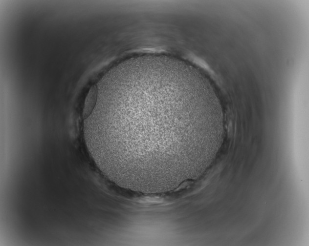 X0000088231448200705292124