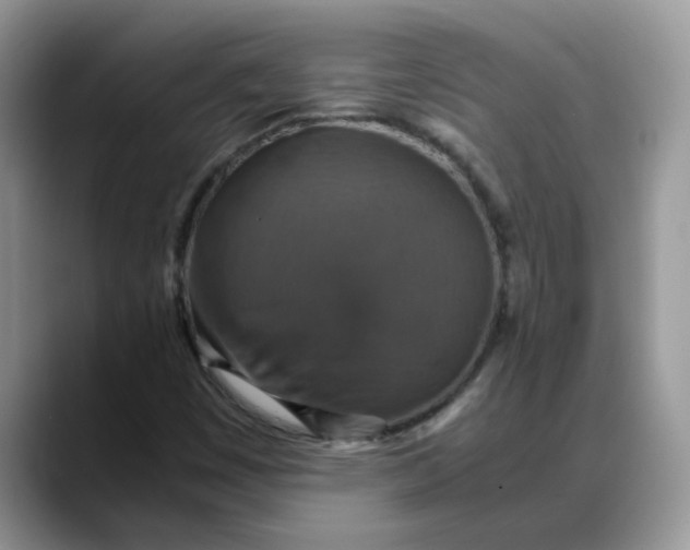 X0000088231449200705292124