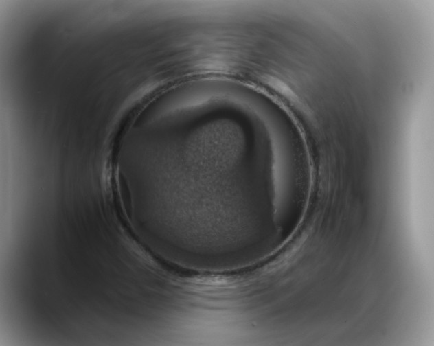 X0000088231450200705292124