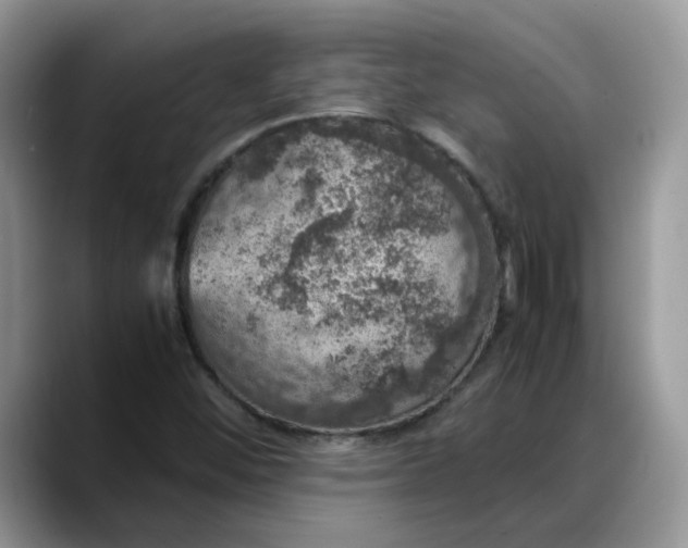 X0000088231452200705292124