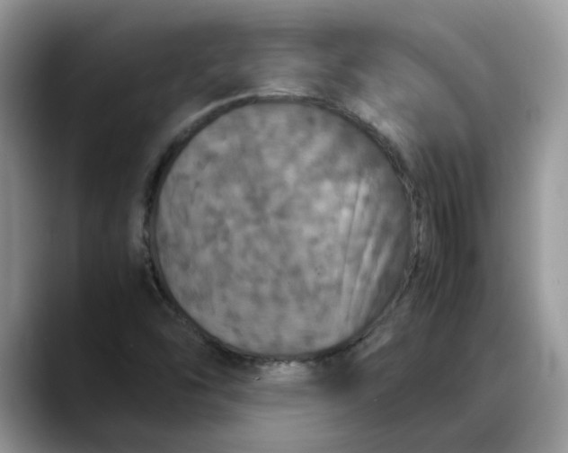 X0000088231454200705292124