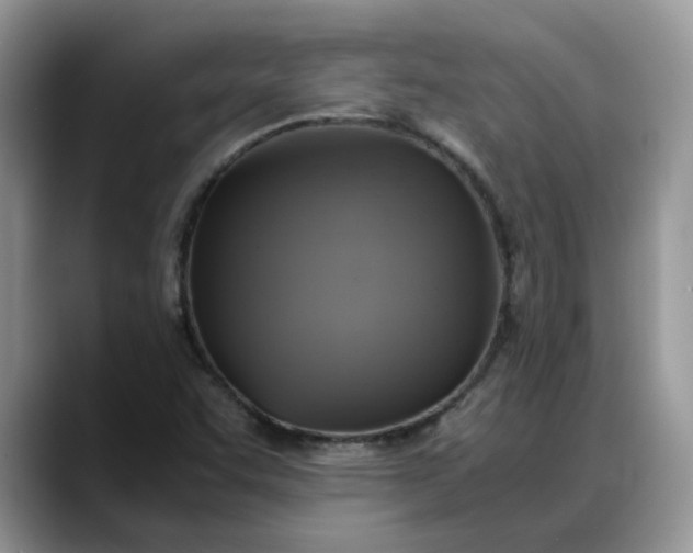 X0000088231455200705292124