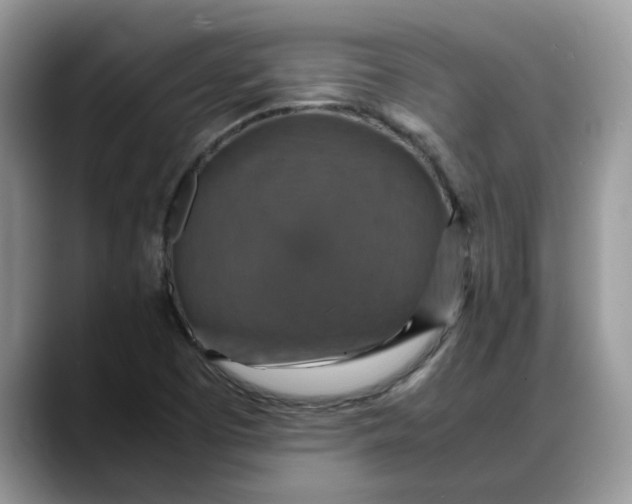 X0000088231457200705292124