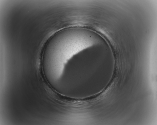 X0000088231459200705292124