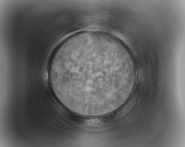 X0000088231462200705292124