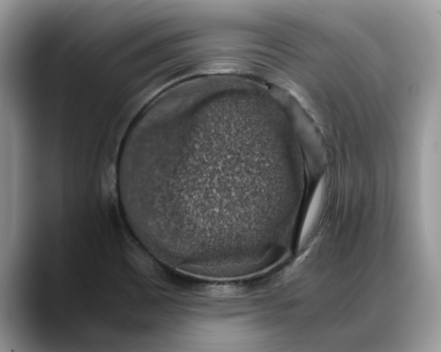 X0000088231465200705292124