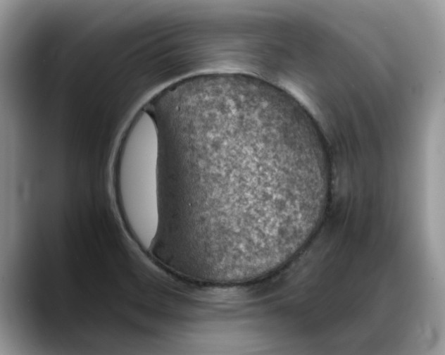 X0000088231468200705292124