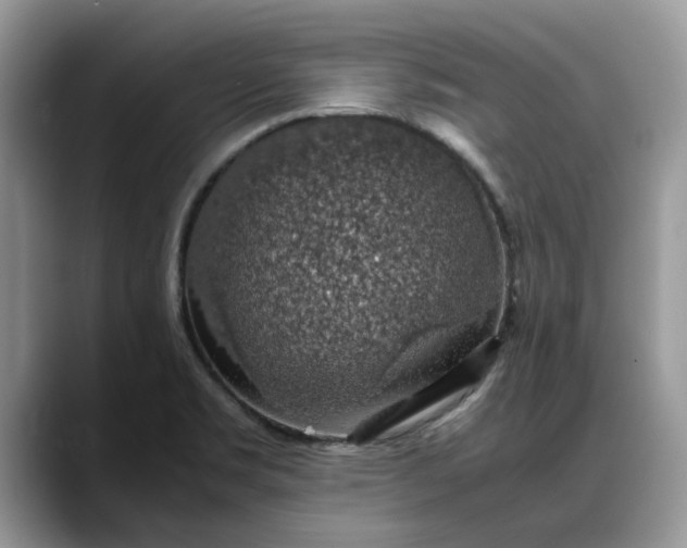 X0000088231469200705292124