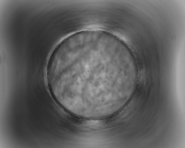 X0000088231470200705292124