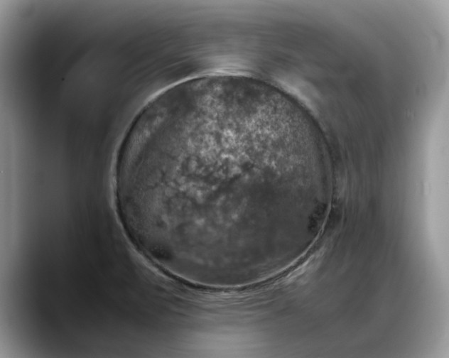 X0000088231471200705292124