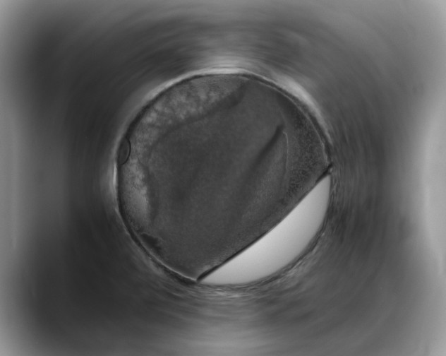 X0000088231472200705292124