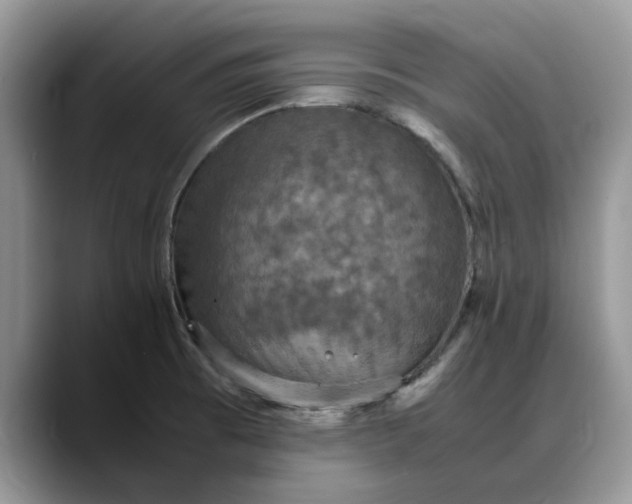 X0000088231473200705292124