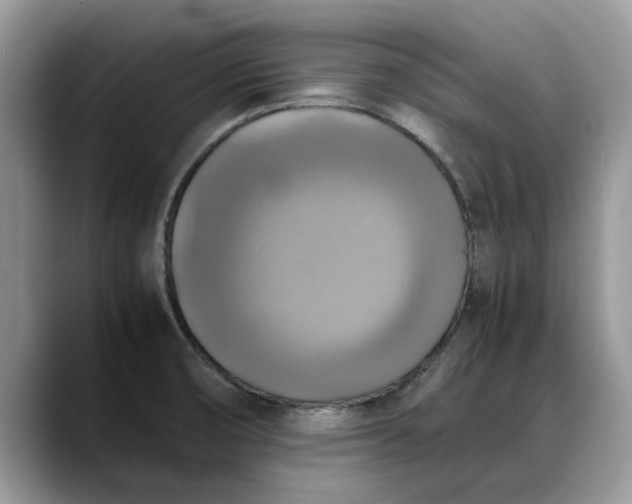 X0000088231474200705292124