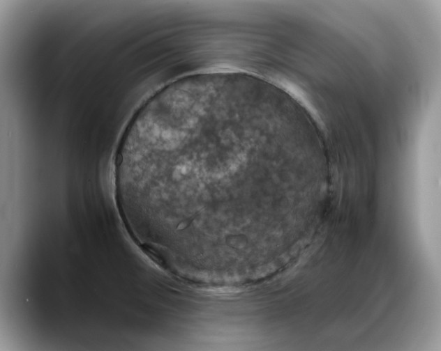 X0000088231476200705292124