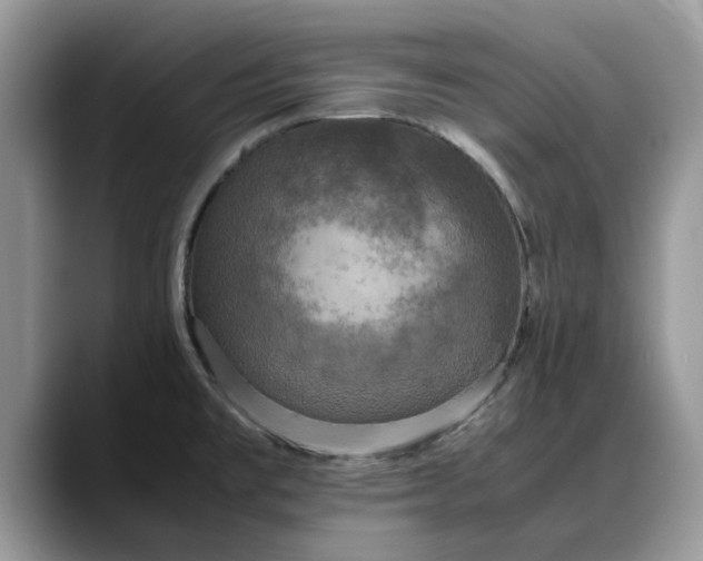 X0000088231477200705292124