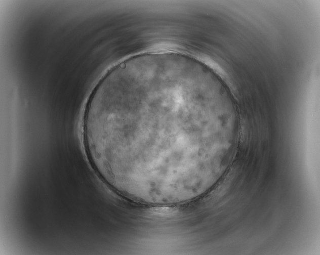 X0000088231478200705292124