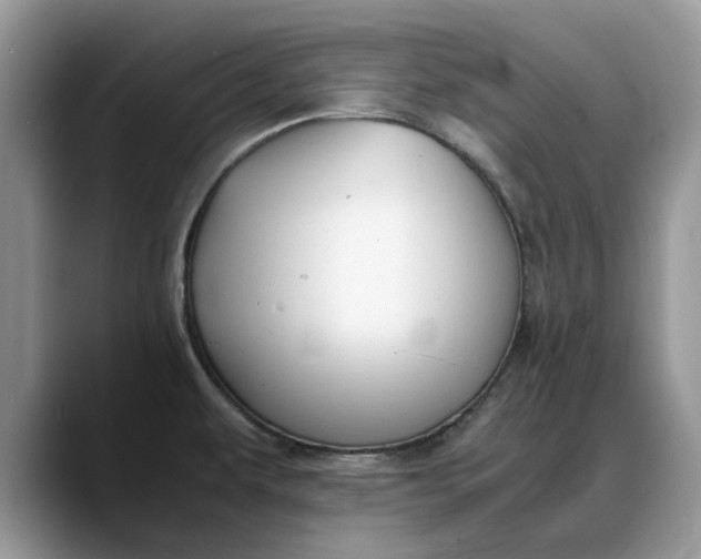 X0000088231479200705292124