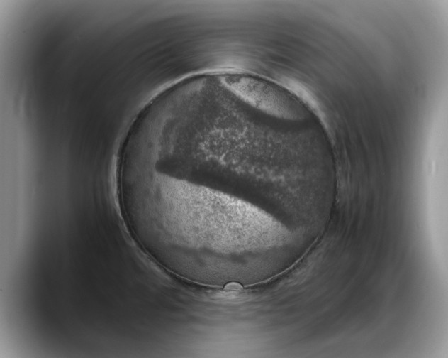 X0000088231480200705292124