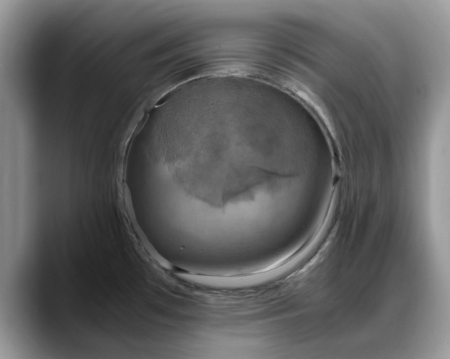 X0000088231481200705292124