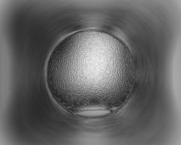 X0000088231483200705292124