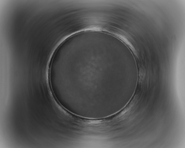 X0000088231484200705292124