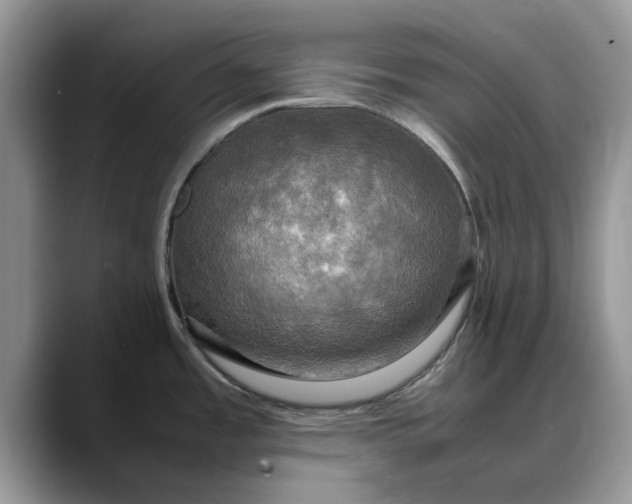 X0000088231485200705292124