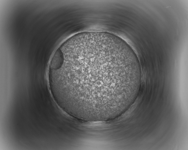 X0000088231486200705292124