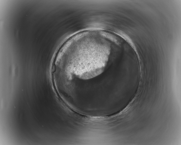 X0000088231488200705292124