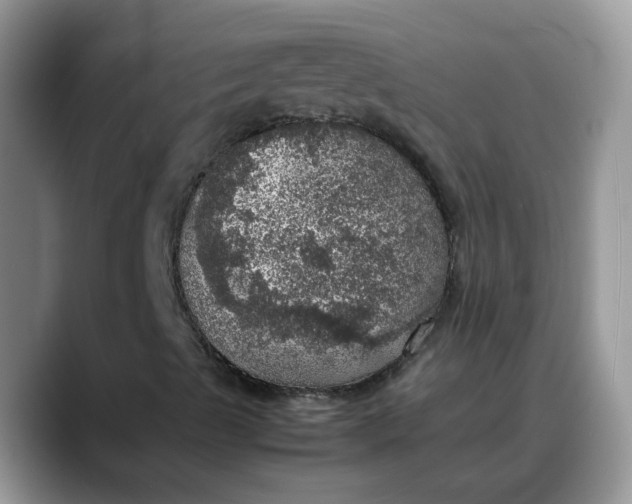X0000088231489200705292123