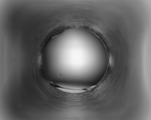 X0000088231492200705292123