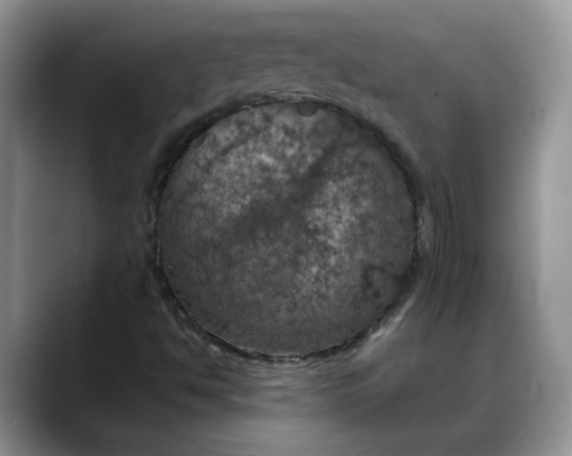 X0000088231494200705292123