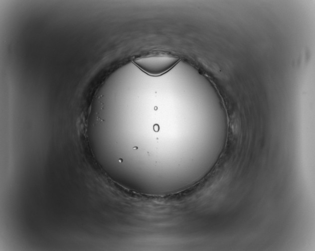 X0000088231495200705292123