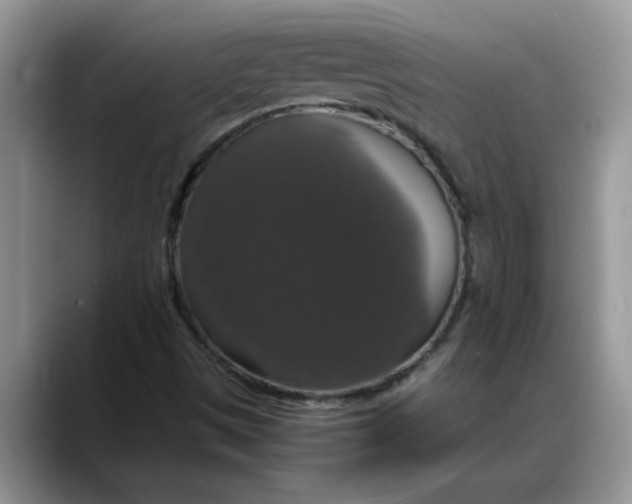 X0000088231497200705292123