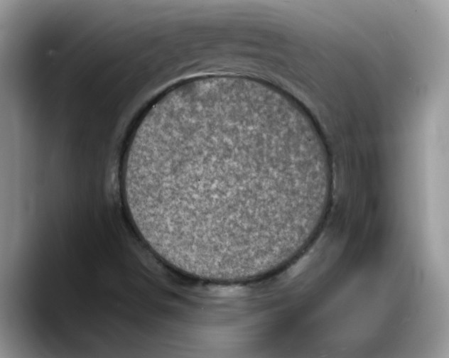 X0000088231498200705292123