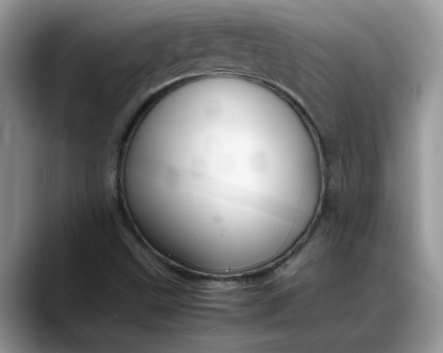 X0000088231499200705292123