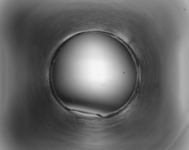 X0000088231500200705292123