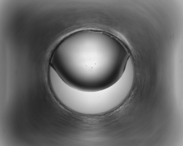 X0000088231504200705292123