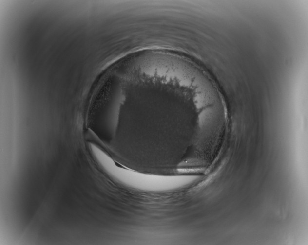 X0000088231505200705292123
