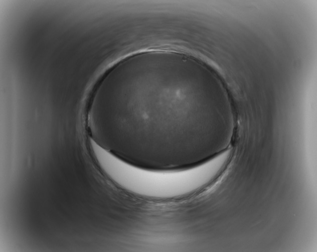 X0000088231506200705292123