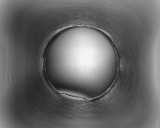 X0000088231507200705292123