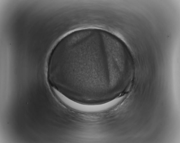 X0000088231508200705292123