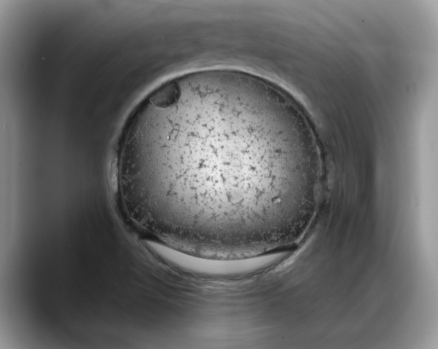 X0000088231510200705292123