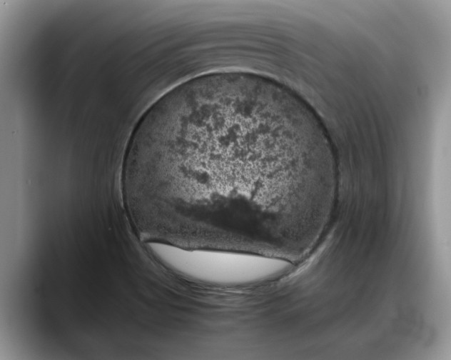X0000088231513200705292123