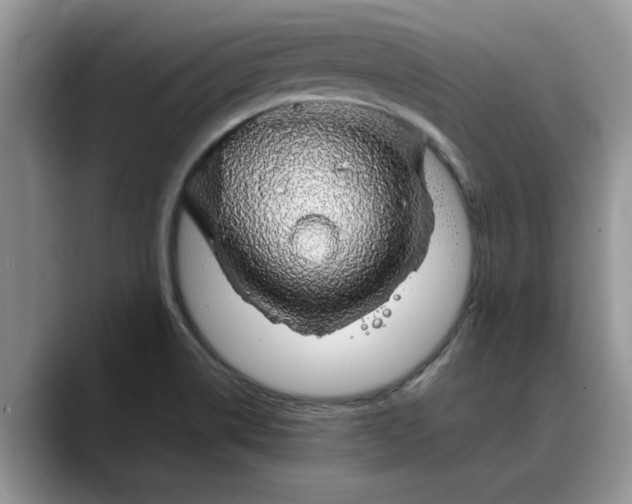 X0000088231514200705292123