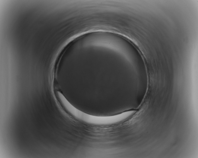 X0000088231515200705292123
