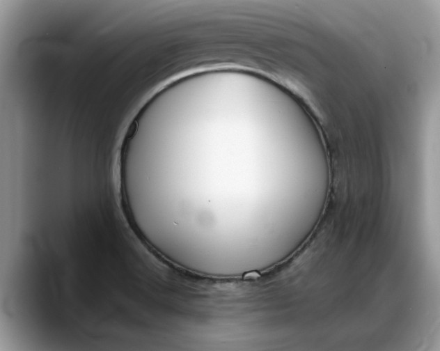 X0000088231516200705292123