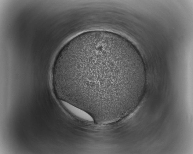 X0000088231517200705292123