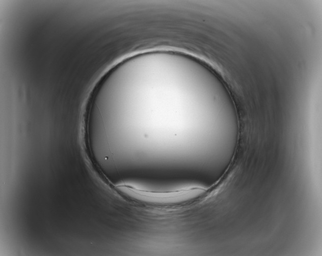 X0000088231518200705292123